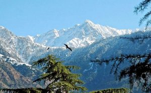 17 Best Himalaya Trekking